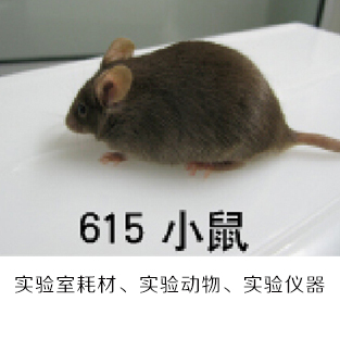 点焊? width=
